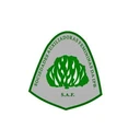 Rádio SAF