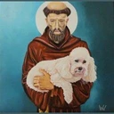 Rádio São Francisco de Assis