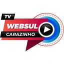 Rádio TV Web Sul