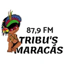 Tribus Maracas
