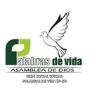 Rádio Palavras de Vida