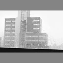 Rádio Crônica e Arte