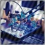 Web Rádio Nashbrazil