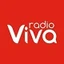 Rádio Viva JF