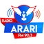 Rádio Arari