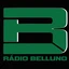 Rádio Belluno