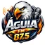 Rádio Águia FM